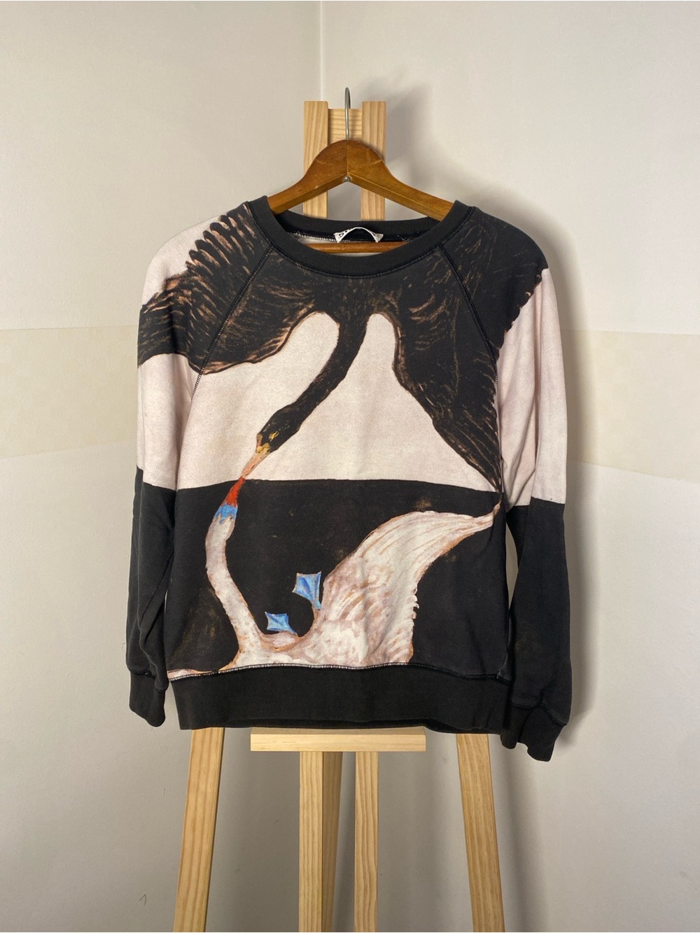 Acne Studios x Hilma af Klint Swan Print Sweatshirt XS Rare SS14 Art Collab